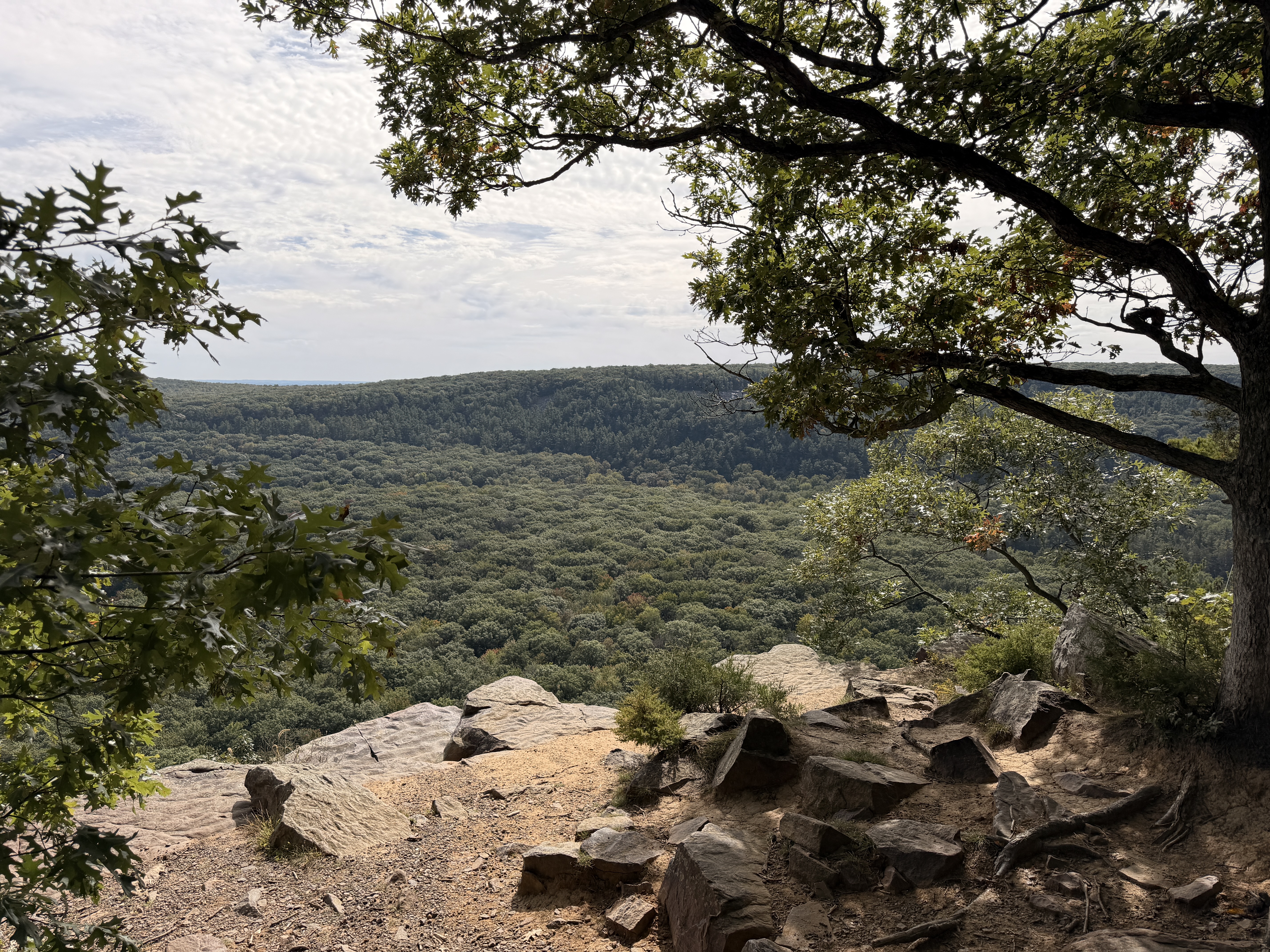 A rocky overlook framed by trees above the forested landscape at Devil’s Lake State Park.